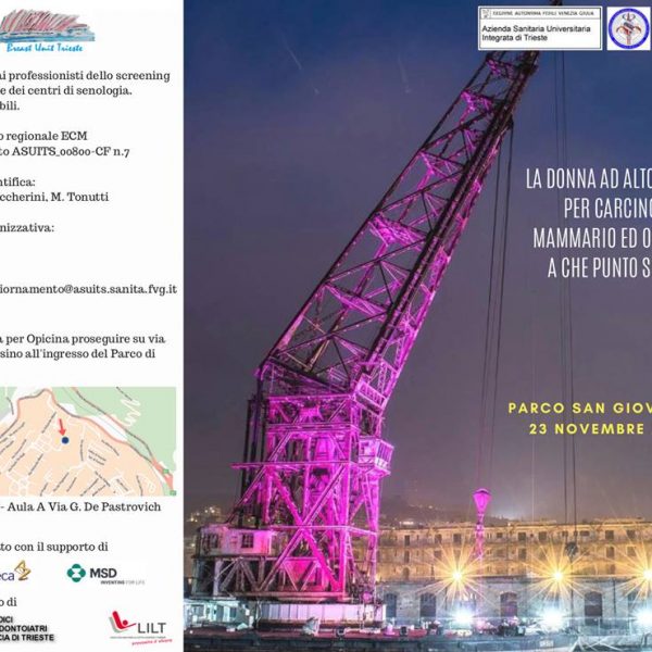 23 Novembre a Trieste: Donna ad alto rischio, a che punto siamo?